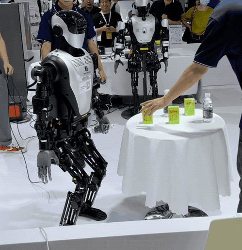 探索智能機(jī)器人的未來 世界機(jī)器人大會27款人形機(jī)器人驚艷亮相